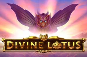 Divine Lotus slot